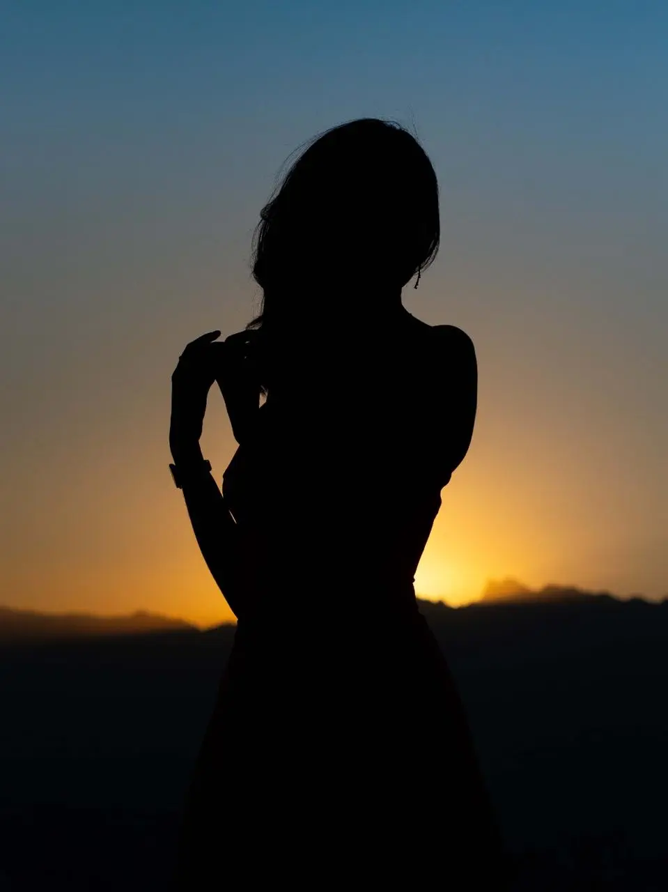 Silueta al Atardecer